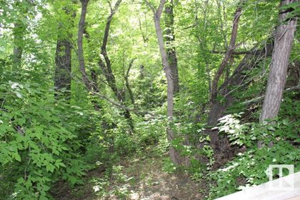 Photo 5 at 9109 98 Street NW, Mill Creek Ravine South, Edmonton