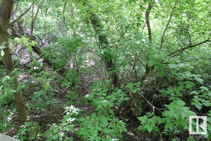 Photo 6 at 9109 98 Street NW, Mill Creek Ravine South, Edmonton