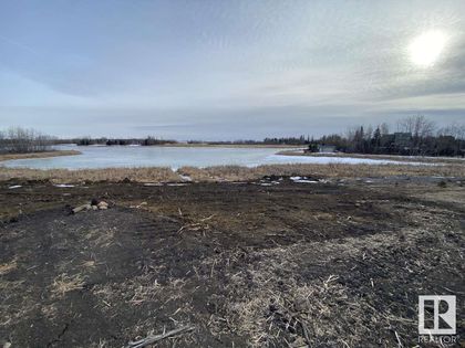 Photo 10 at 1730 Ellerslie Road SW, Alces, Edmonton