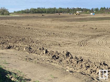 Photo 13 at 1730 Ellerslie Road SW, Alces, Edmonton