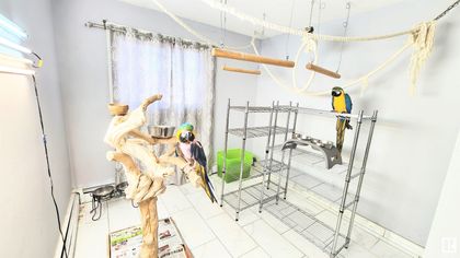 Photo 22 at 308 - 3720 118 Avenue NW, Beacon Heights, Edmonton