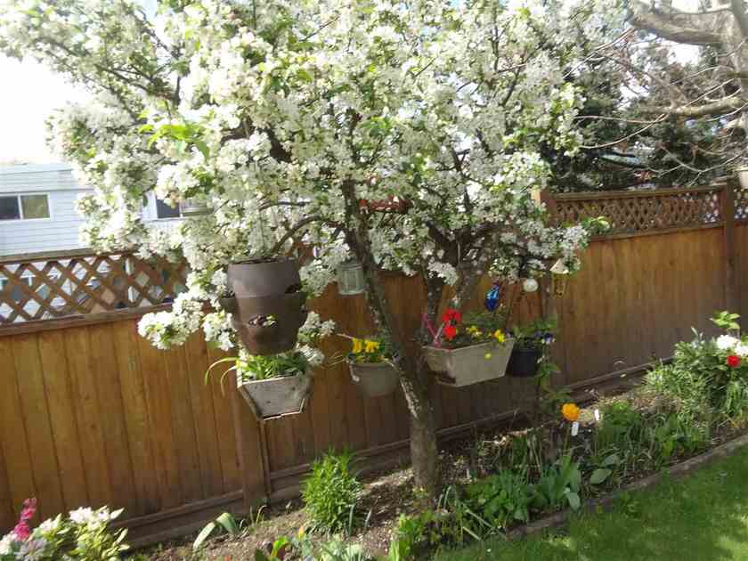 Photo 20 at 7280 15th Avenue, Edmonds BE, Burnaby East