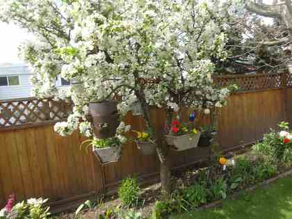 Photo 20 at  Photo 20 at