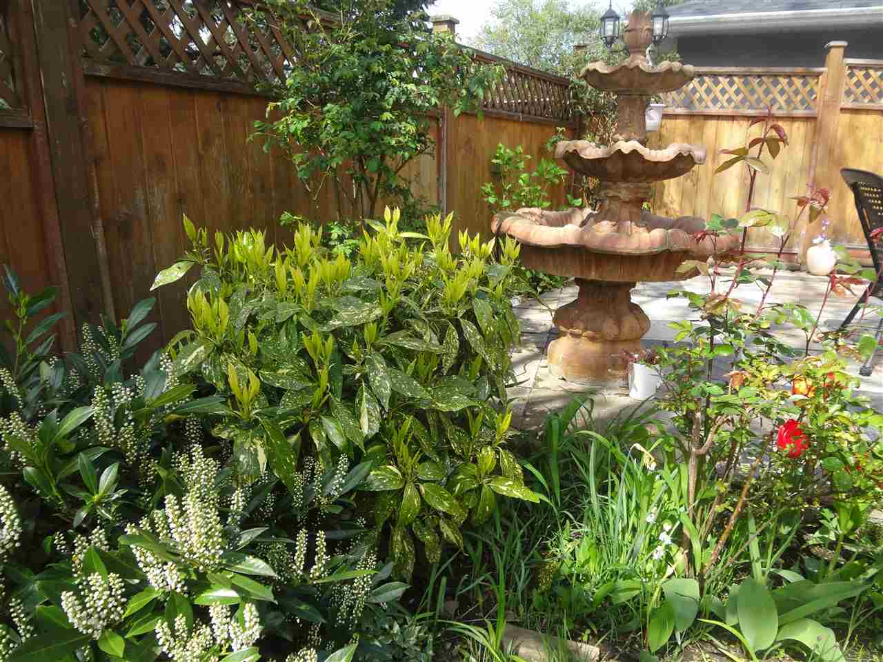 Photo 4