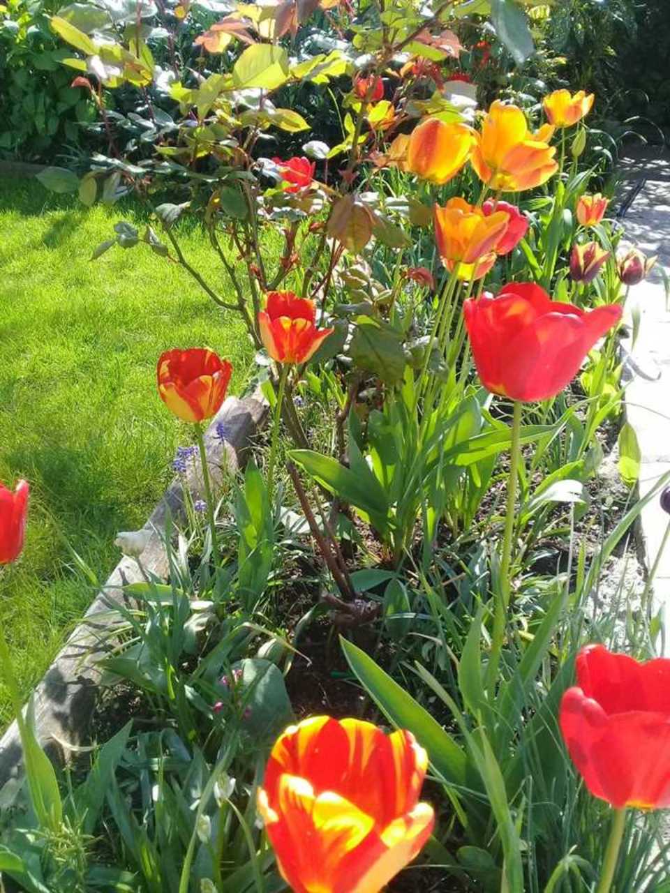 Photo 19
