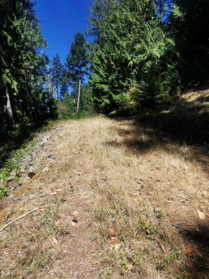 Photo 4 at LOT 9 Beechwood Drive, Mayne Island, Islands-Van. & Gulf Photo 4 at LOT 9 Beechwood Drive, Mayne Island, Islands-Van. & Gulf