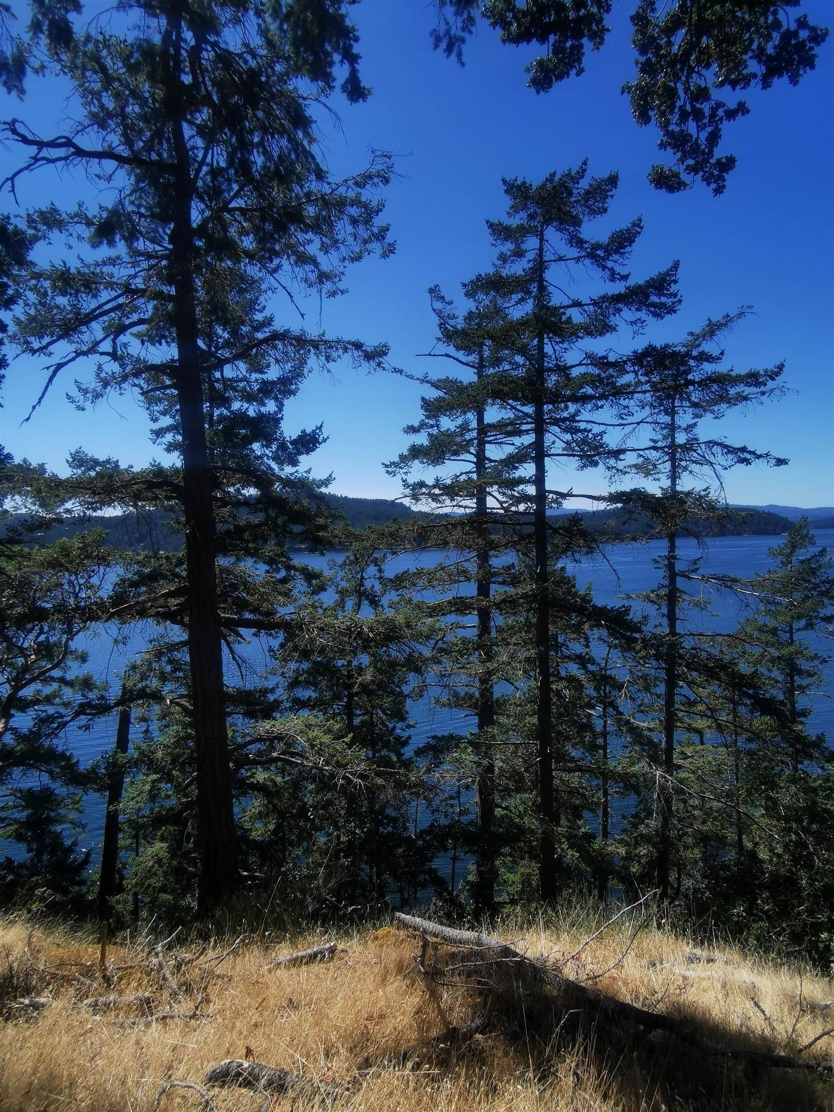 LOT 9 Beechwood Drive, Mayne Island, Islands-Van. & Gulf