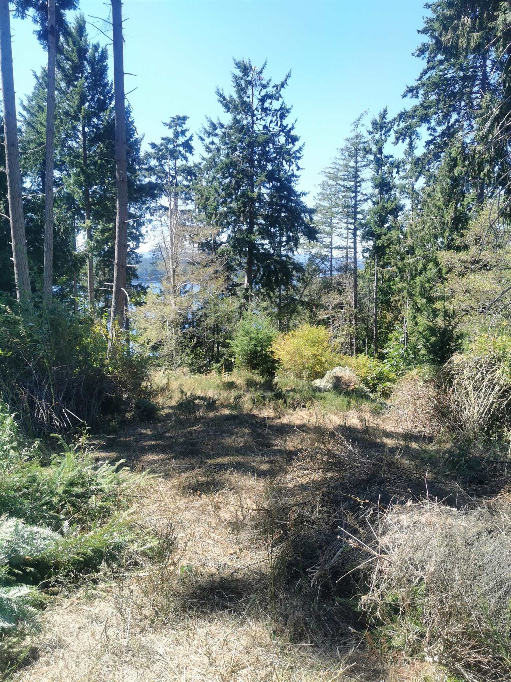 Photo 6 at LOT 9 Beechwood Drive, Mayne Island, Islands-Van. & Gulf Photo 6 at LOT 9 Beechwood Drive, Mayne Island, Islands-Van. & Gulf