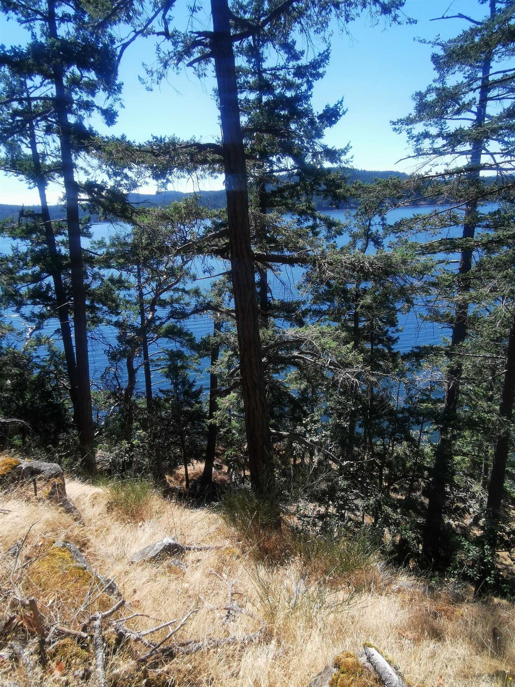 Photo 9 at LOT 9 Beechwood Drive, Mayne Island, Islands-Van. & Gulf Photo 9 at LOT 9 Beechwood Drive, Mayne Island, Islands-Van. & Gulf