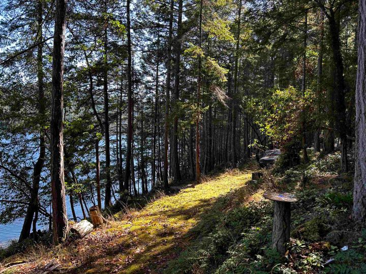 Photo 8 at 762 Ridge Road, Galiano Island, Islands-Van. & Gulf