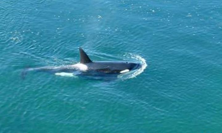 Photo 3 at 315 Deacon Lane, Galiano Island, Islands-Van. & Gulf