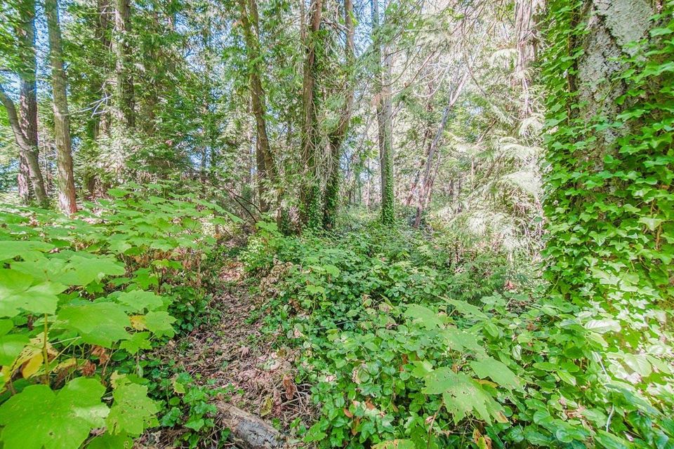 Photo 24 at 16 Passage Island, Passage Island, West Vancouver