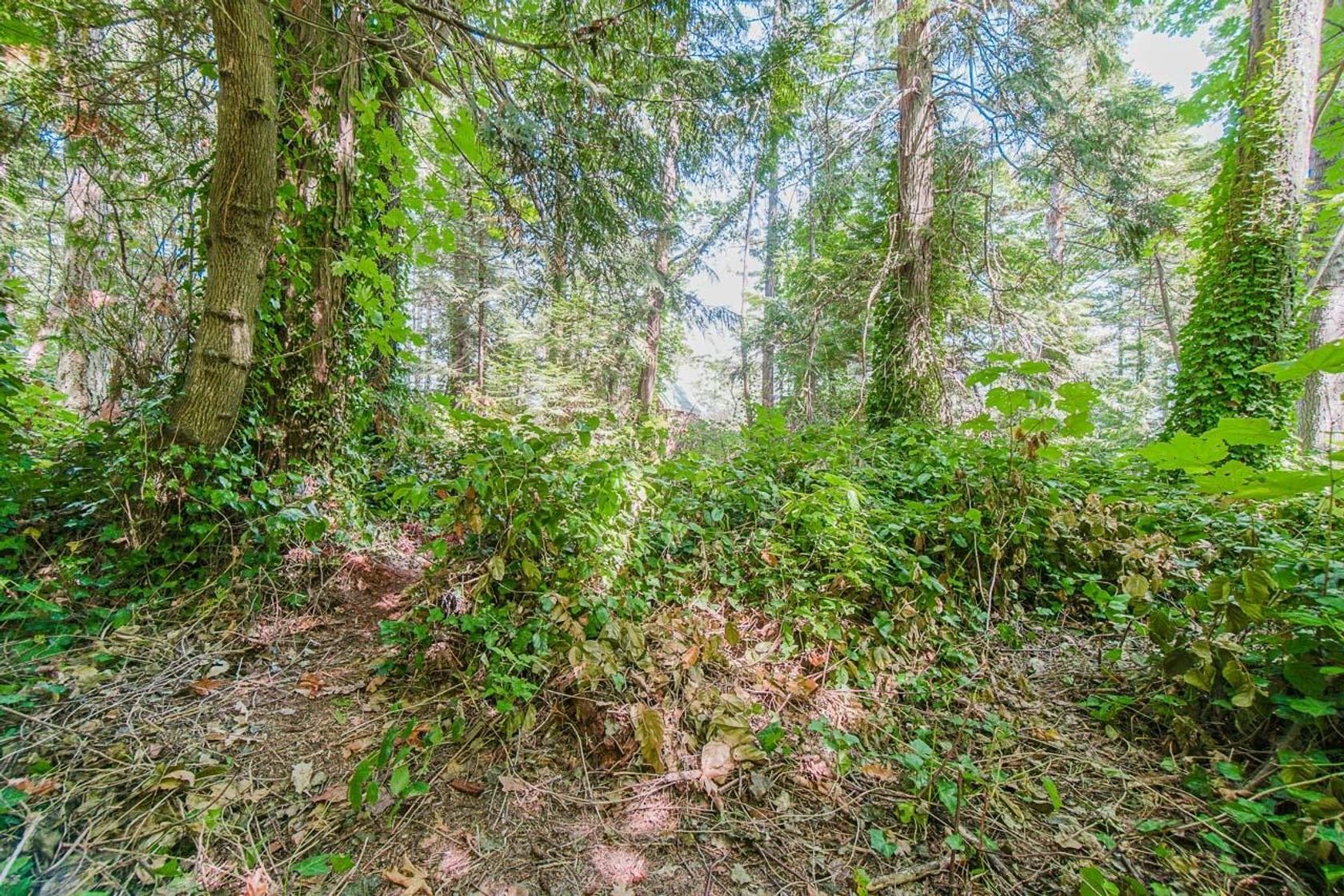 Photo 27 at 16 Passage Island, Passage Island, West Vancouver Photo 27 at 16 Passage Island, Passage Island, West Vancouver