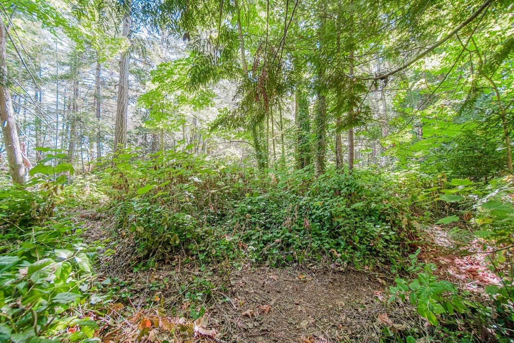 Photo 31 at 16 Passage Island, Passage Island, West Vancouver Photo 31 at 16 Passage Island, Passage Island, West Vancouver