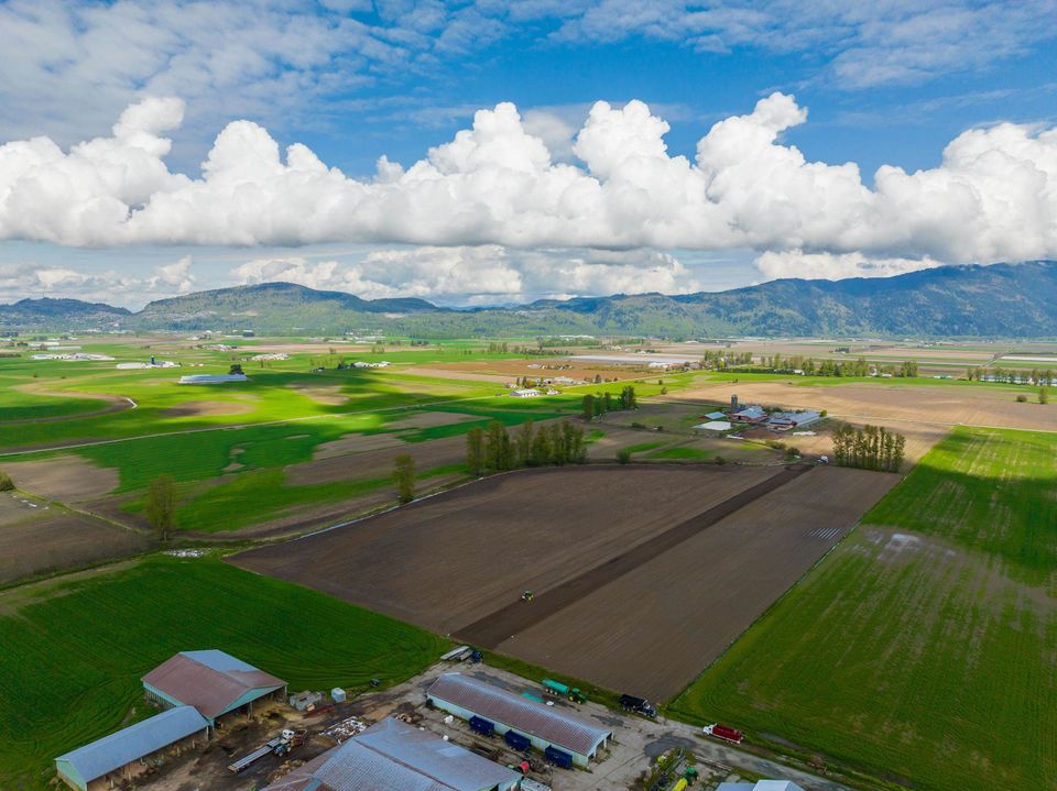 Photo 24 at 39464 Wells Line Road, Sumas Prairie, Abbotsford Photo 24 at 39464 Wells Line Road, Sumas Prairie, Abbotsford