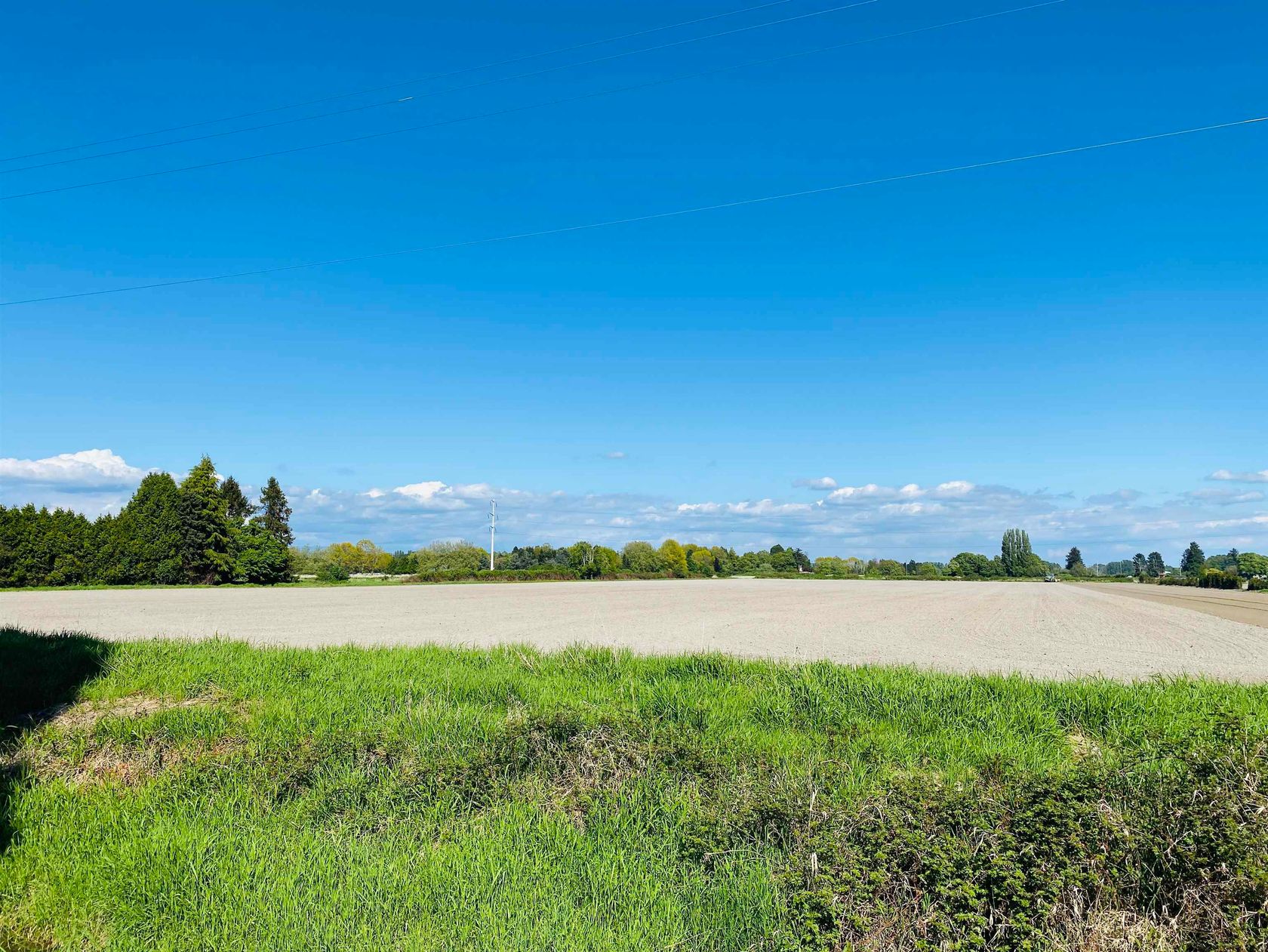 Photo 3 at 13091 No. 3 Road, Gilmore, Richmond