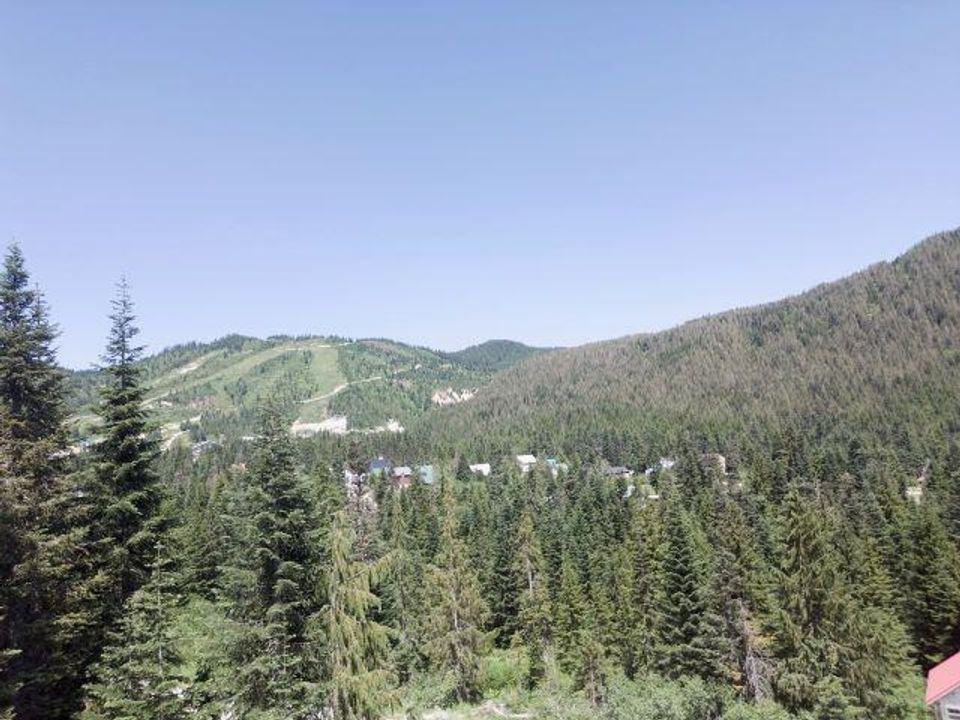Photo 7 at 20579 Edelweiss Drive, Hemlock, Mission