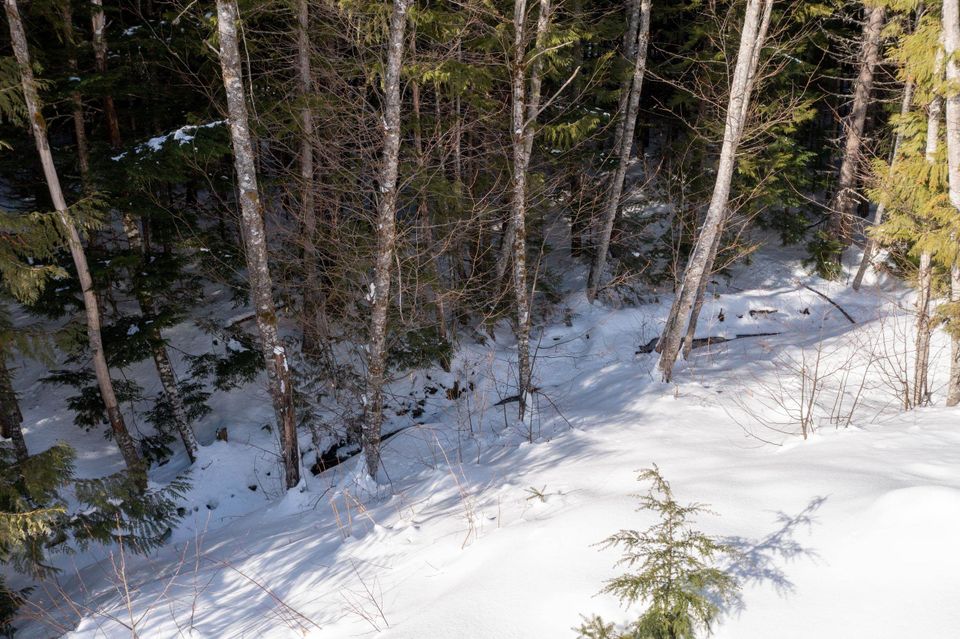 Photo 12 at 8648 Lakewood Court, Alpine Meadows, Whistler