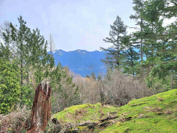 Photo 1 at 1562 Eaglecliff Road, Bowen Island