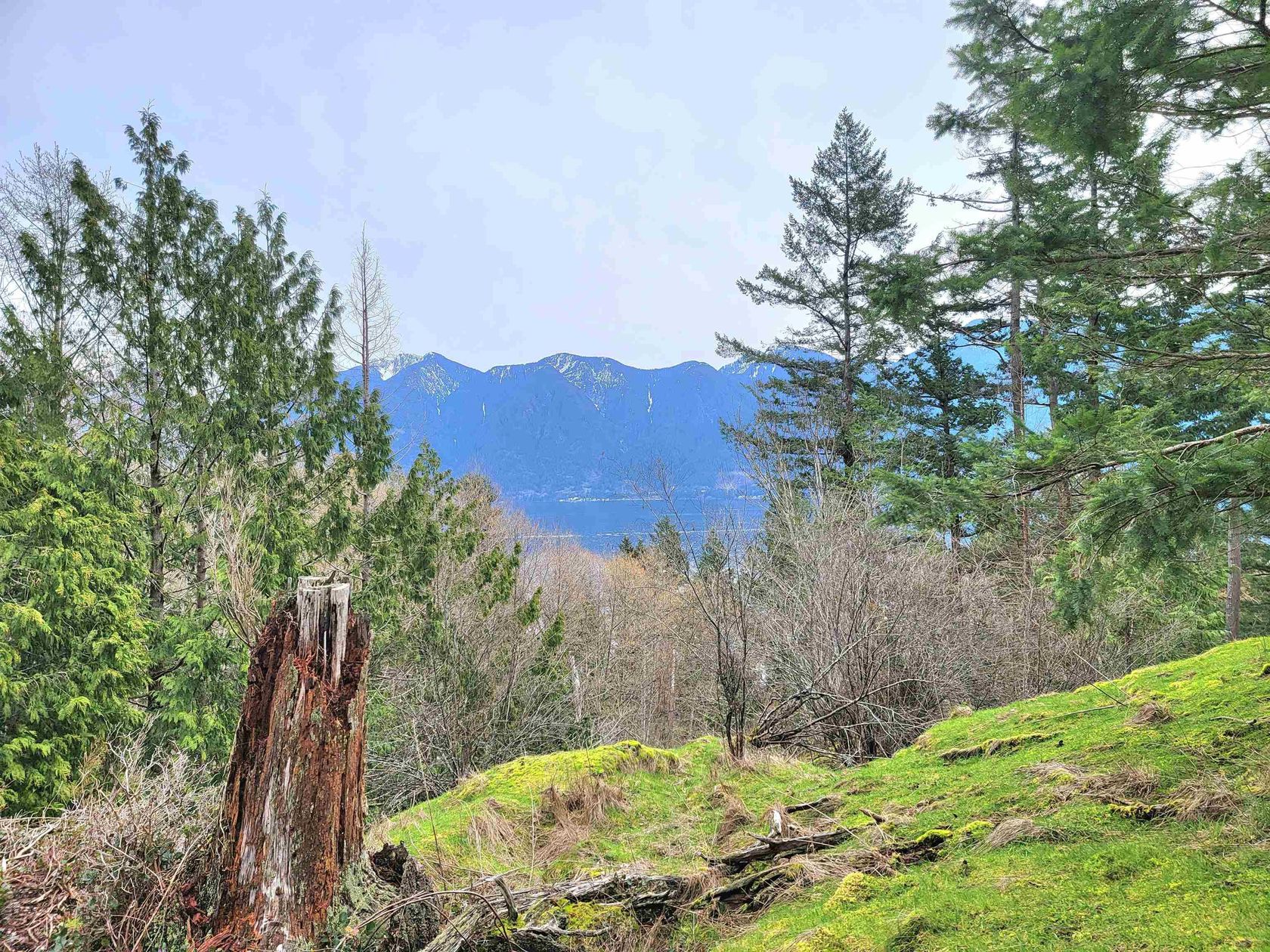 1562 Eaglecliff Road, Bowen Island photo 0 1562 Eaglecliff Road, Bowen Island photo 0