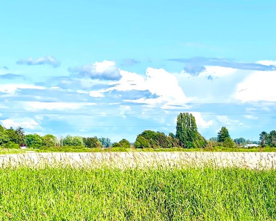 Photo 3 at 13091 No. 3 Road, Gilmore, Richmond