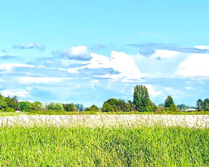 Photo 3 at 13091 No. 3 Road, Gilmore, Richmond