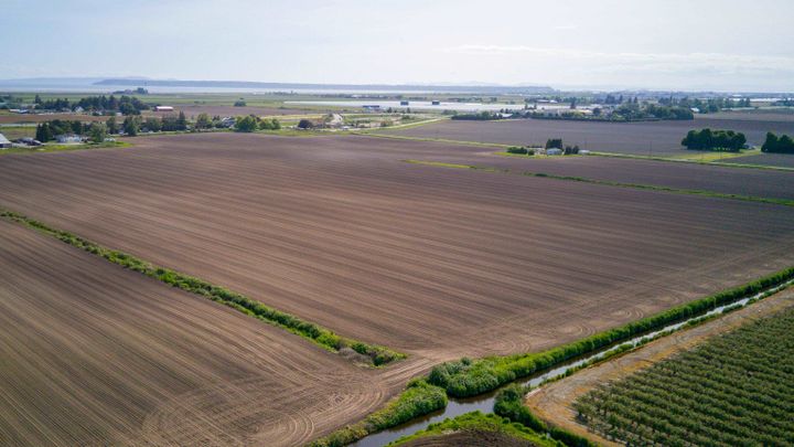 Photo 7 at 9727 Ladner Trunk Road, East Delta, Ladner