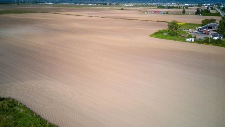 Photo 10 at 9727 Ladner Trunk Road, East Delta, Ladner