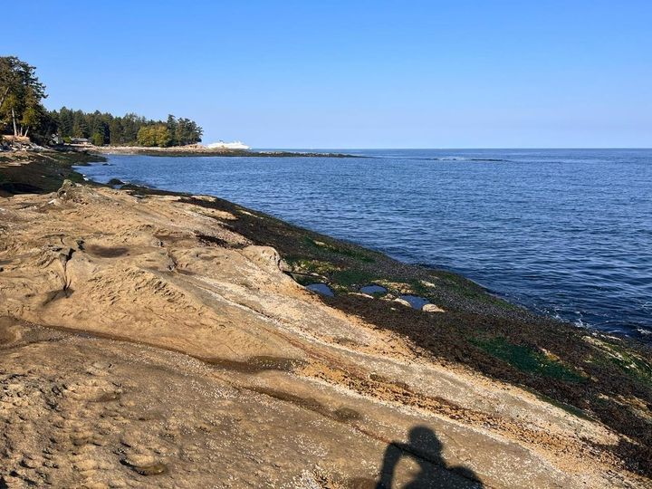 Photo 8 at 579 Bayview Drive, Mayne Island, Islands-Van. & Gulf