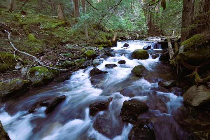 Photo 6 at DL3363 Highway 99, Emerald Estates, Whistler