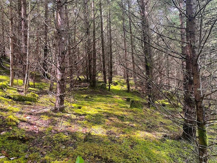 Photo 24 at Lot 11 District Lot 71 And 77, Galiano Island, Islands-Van. & Gulf