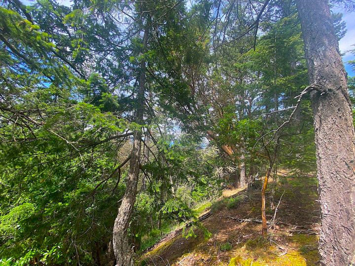 Photo 32 at Lot 11 District Lot 71 And 77, Galiano Island, Islands-Van. & Gulf