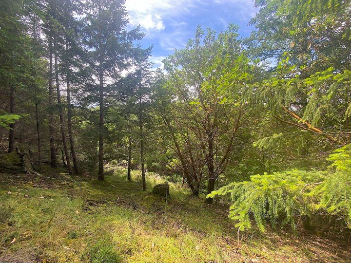 Photo 33 at Lot 11 District Lot 71 And 77, Galiano Island, Islands-Van. & Gulf