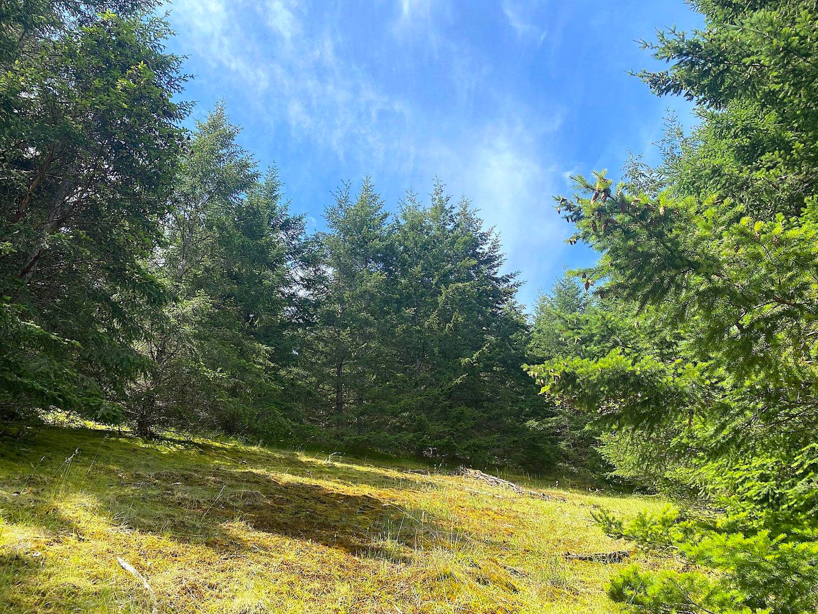 Lot 11 District Lot 71 And 77, Galiano Island, Islands-Van. & Gulf