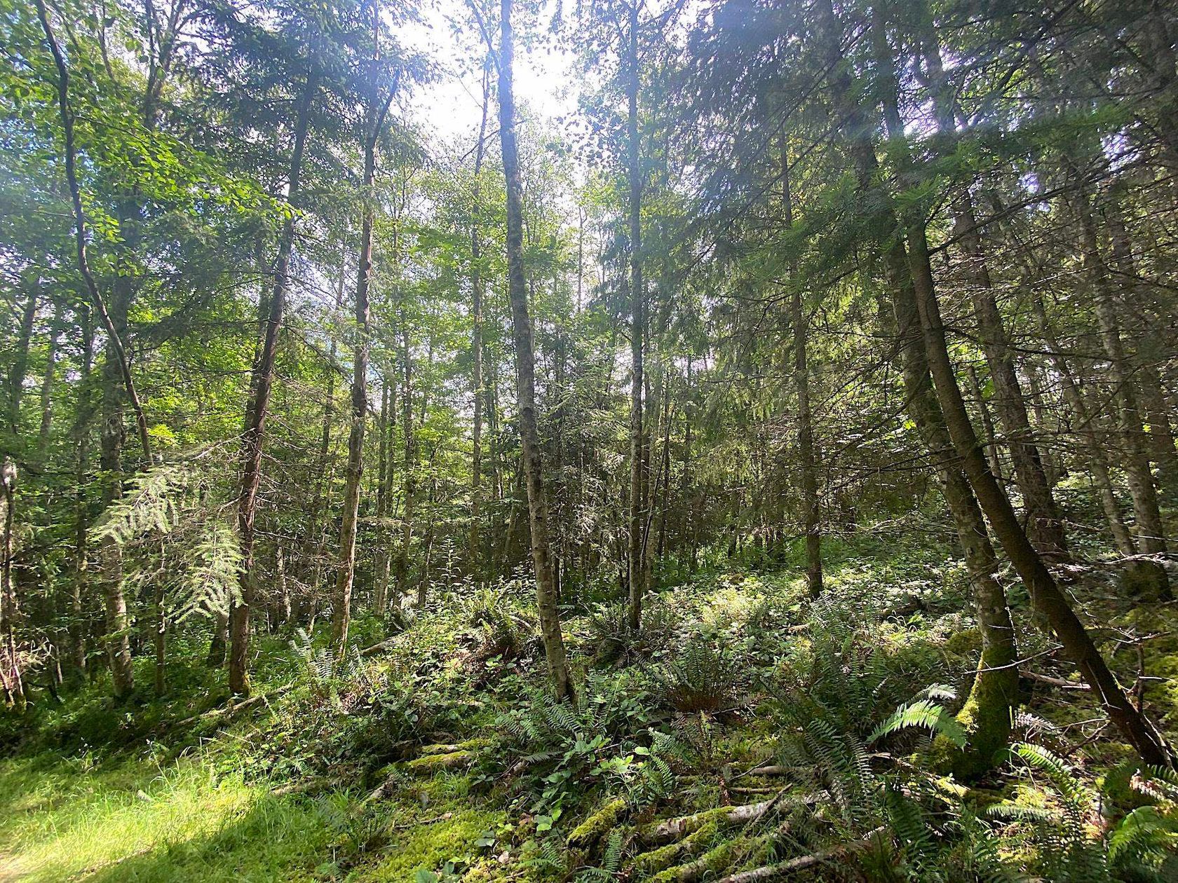 Photo 11 at Lot 11 District Lot 71 And 77, Galiano Island, Islands-Van. & Gulf Photo 11 at Lot 11 District Lot 71 And 77, Galiano Island, Islands-Van. & Gulf