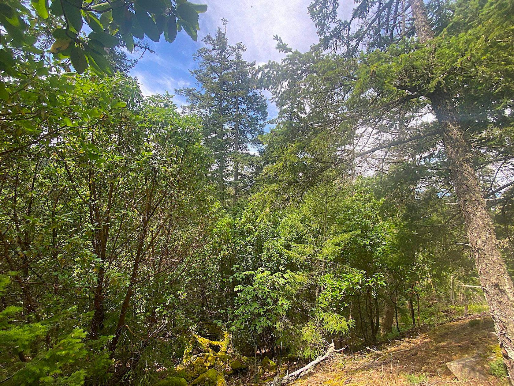 Photo 28 at Lot 11 District Lot 71 And 77, Galiano Island, Islands-Van. & Gulf Photo 28 at Lot 11 District Lot 71 And 77, Galiano Island, Islands-Van. & Gulf