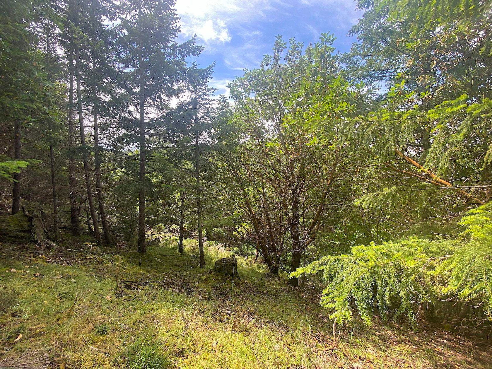 Photo 33 at Lot 11 District Lot 71 And 77, Galiano Island, Islands-Van. & Gulf Photo 33 at Lot 11 District Lot 71 And 77, Galiano Island, Islands-Van. & Gulf