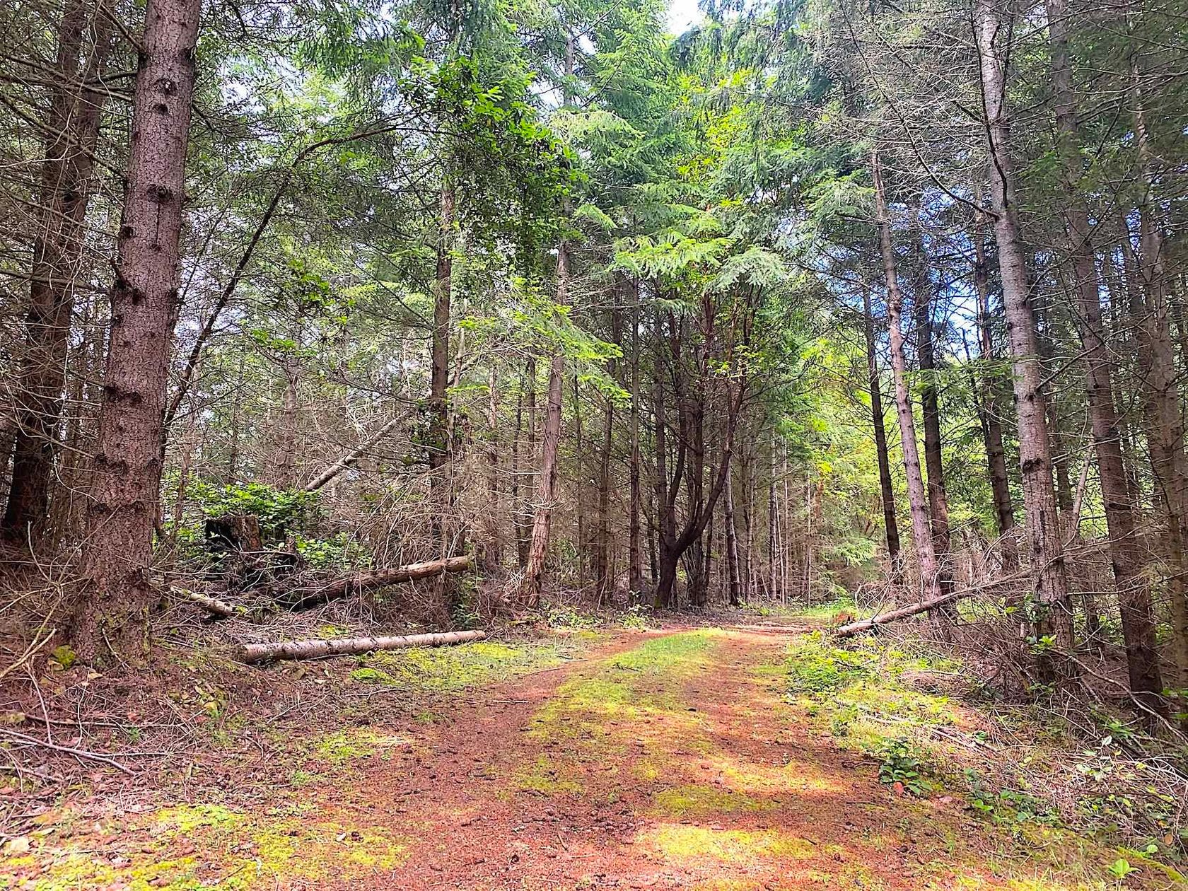 Photo 34 at Lot 11 District Lot 71 And 77, Galiano Island, Islands-Van. & Gulf Photo 34 at Lot 11 District Lot 71 And 77, Galiano Island, Islands-Van. & Gulf