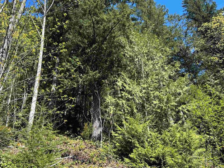 Photo 34 at DL - 4055 E Dark Cove Jervis Road, Pender Harbour Egmont, Sunshine Coast Photo 34 at DL - 4055 E Dark Cove Jervis Road, Pender Harbour Egmont, Sunshine Coast