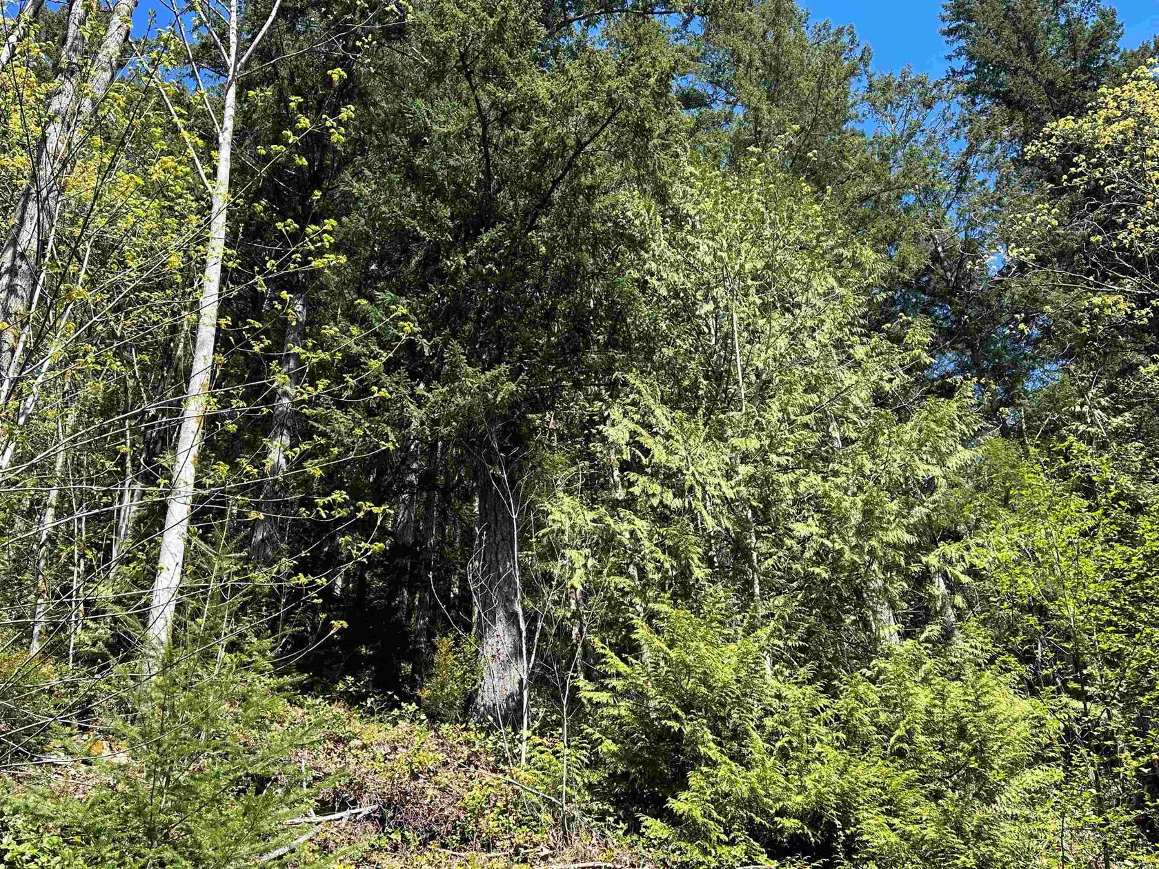 Photo 34 at DL - 4055 E Dark Cove Jervis Road, Pender Harbour Egmont, Sunshine Coast Photo 34 at DL - 4055 E Dark Cove Jervis Road, Pender Harbour Egmont, Sunshine Coast