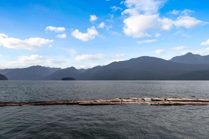 Photo 35 at 4 Christian Cove, North Meadows PI, Pitt Meadows Photo 35 at 4 Christian Cove, North Meadows PI, Pitt Meadows