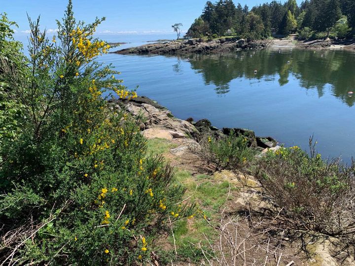 Photo 14 at 581 Bayview Drive, Mayne Island, Islands-Van. & Gulf