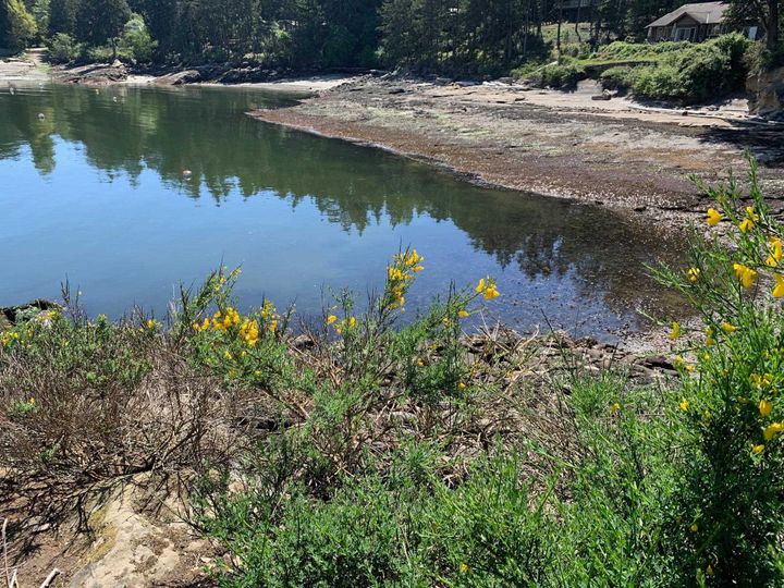 Photo 16 at 581 Bayview Drive, Mayne Island, Islands-Van. & Gulf