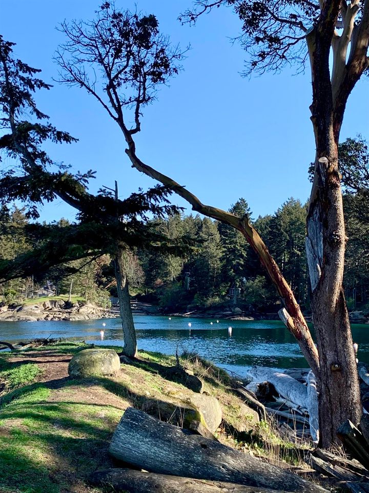 Photo 25 at 581 Bayview Drive, Mayne Island, Islands-Van. & Gulf