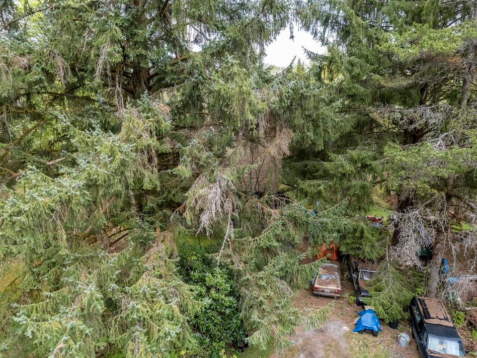 Photo 10 at 12310 256 Street, Websters Corners, Maple Ridge