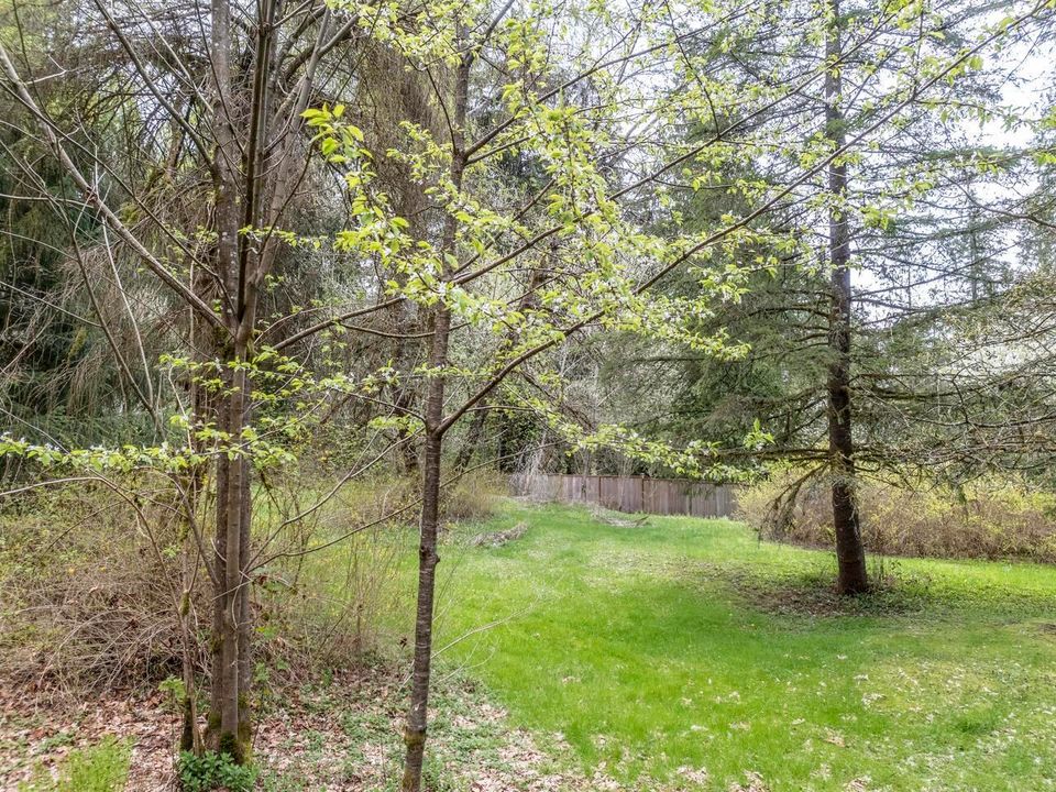Photo 18 at 12310 256 Street, Websters Corners, Maple Ridge Photo 18 at 12310 256 Street, Websters Corners, Maple Ridge