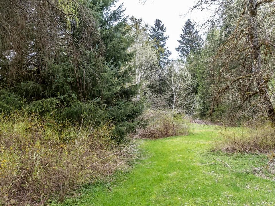 Photo 21 at 12310 256 Street, Websters Corners, Maple Ridge Photo 21 at 12310 256 Street, Websters Corners, Maple Ridge