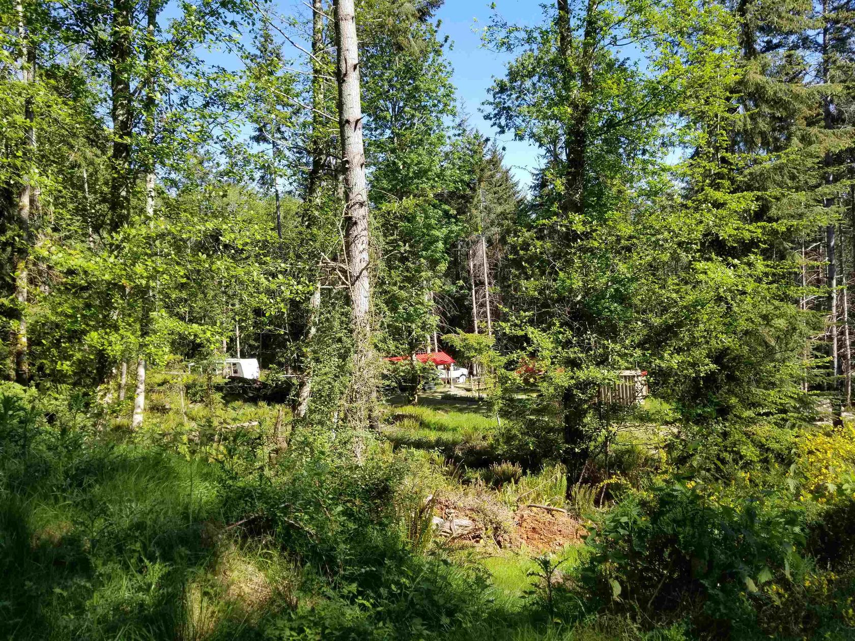 Photo 25 at 64 Beau Vista Lane, Galiano Island, Islands-Van. & Gulf Photo 25 at 64 Beau Vista Lane, Galiano Island, Islands-Van. & Gulf