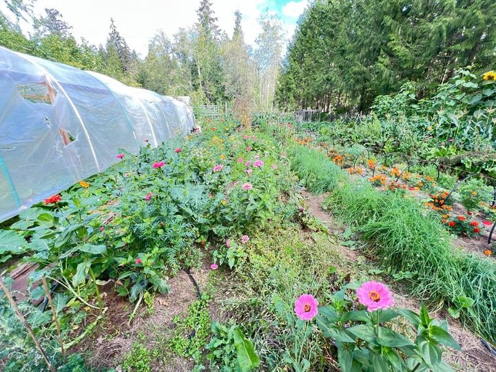 Photo 11 at 6229 Mason Road, Sechelt District, Sunshine Coast