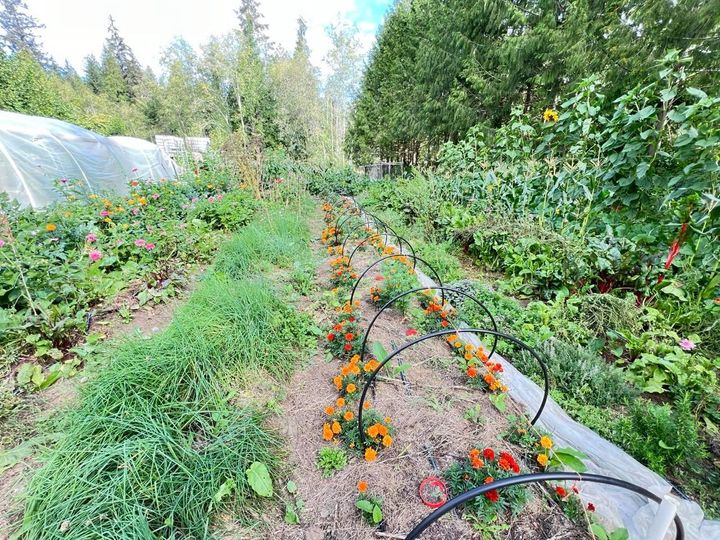 Photo 12 at 6229 Mason Road, Sechelt District, Sunshine Coast